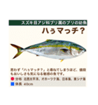 架空魚海の生き物図鑑（個別スタンプ：33）