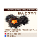 架空魚海の生き物図鑑（個別スタンプ：35）