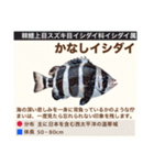 架空魚海の生き物図鑑（個別スタンプ：36）