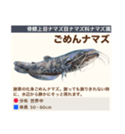 架空魚海の生き物図鑑（個別スタンプ：37）