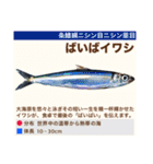 架空魚海の生き物図鑑（個別スタンプ：39）