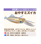 架空魚海の生き物図鑑（個別スタンプ：40）