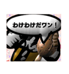 【CG編1】シルバーダップルのダックス（個別スタンプ：24）