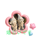 お人形たちのご挨拶（個別スタンプ：12）