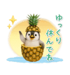 癒しペンギンの「夏」の毎日（個別スタンプ：23）