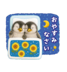 癒しペンギンの「夏」の毎日（個別スタンプ：24）