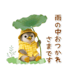 癒しペンギンの「夏」の毎日（個別スタンプ：26）