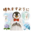 癒しペンギンの「夏」の毎日（個別スタンプ：29）