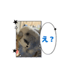 ぴーちゃんふぉーえばー2（個別スタンプ：5）
