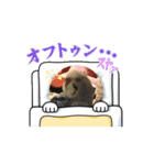 ぴーちゃんふぉーえばー2（個別スタンプ：6）