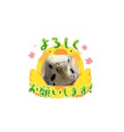 ぴーちゃんふぉーえばー2（個別スタンプ：7）