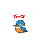カワセミン（動く挨拶 ①）（個別スタンプ：6）