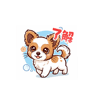 チワプーココの日常（個別スタンプ：1）