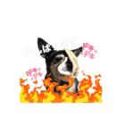 ゴソゴソじぇるちゃん（個別スタンプ：12）