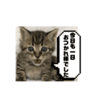 ハッピー＆ラッキー ⑥（個別スタンプ：3）