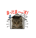ハッピー＆ラッキー ⑥（個別スタンプ：16）