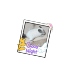 動くちらごん（個別スタンプ：4）