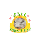 動くちらごん（個別スタンプ：8）