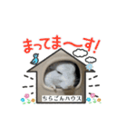 動くちらごん（個別スタンプ：10）