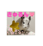 動くちらごん（個別スタンプ：16）