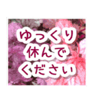 飛び出す！大人やさしい野の花 修正版（個別スタンプ：6）