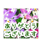 飛び出す！大人やさしい野の花 修正版（個別スタンプ：10）