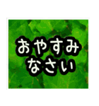飛び出す！大人やさしい野の花 修正版（個別スタンプ：12）