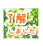 飛び出す！大人やさしい野の花 修正版（個別スタンプ：16）