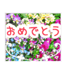 飛び出す！大人やさしい野の花 修正版（個別スタンプ：18）