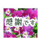 飛び出す！大人やさしい野の花 修正版（個別スタンプ：23）
