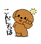飛び出す！いつでも使えるトイプー（個別スタンプ：3）