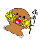 飛び出す！いつでも使えるトイプー（個別スタンプ：5）