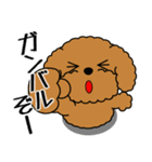 飛び出す！いつでも使えるトイプー（個別スタンプ：6）