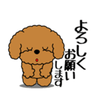 飛び出す！いつでも使えるトイプー（個別スタンプ：7）