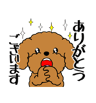 飛び出す！いつでも使えるトイプー（個別スタンプ：8）