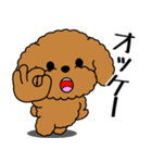 飛び出す！いつでも使えるトイプー（個別スタンプ：10）
