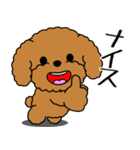 飛び出す！いつでも使えるトイプー（個別スタンプ：12）