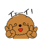飛び出す！いつでも使えるトイプー（個別スタンプ：13）