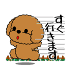 飛び出す！いつでも使えるトイプー（個別スタンプ：15）