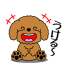 飛び出す！いつでも使えるトイプー（個別スタンプ：19）