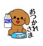飛び出す！いつでも使えるトイプー（個別スタンプ：23）