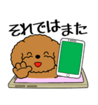 飛び出す！いつでも使えるトイプー（個別スタンプ：24）
