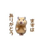 ハムスターが踊ります（個別スタンプ：4）