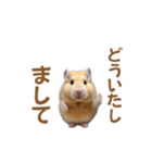 ハムスターが踊ります（個別スタンプ：5）