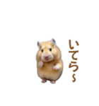 ハムスターが踊ります（個別スタンプ：7）