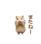 ハムスターが踊ります（個別スタンプ：8）