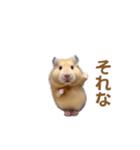 ハムスターが踊ります（個別スタンプ：9）