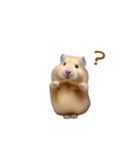 ハムスターが踊ります（個別スタンプ：20）