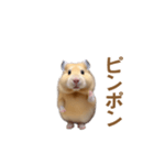 ハムスターが踊ります（個別スタンプ：21）