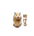 ハムスターが踊ります（個別スタンプ：22）